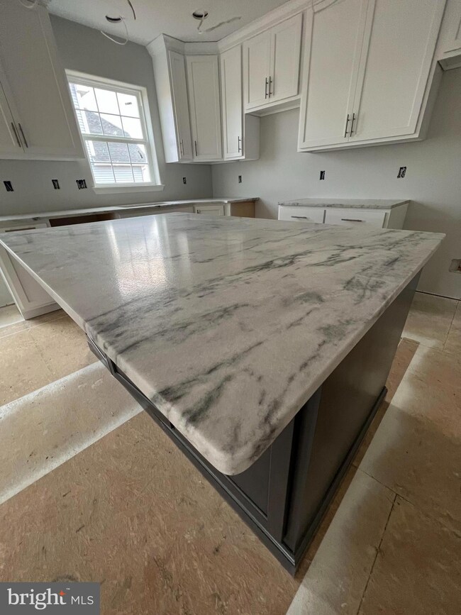 1012 Antonio Dr unit 42, Reading, PA 19605 - photo 3