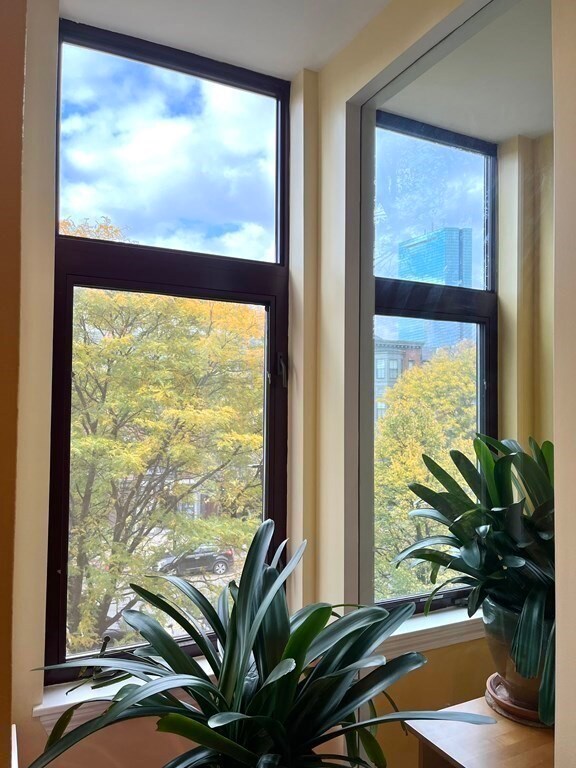 143 W Brookline St unit 302, Boston, MA 02118 - photo 6