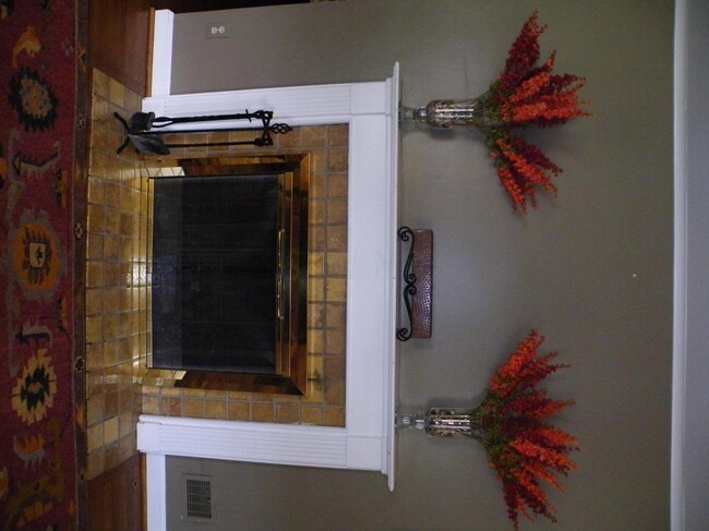 Living Room Fireplace