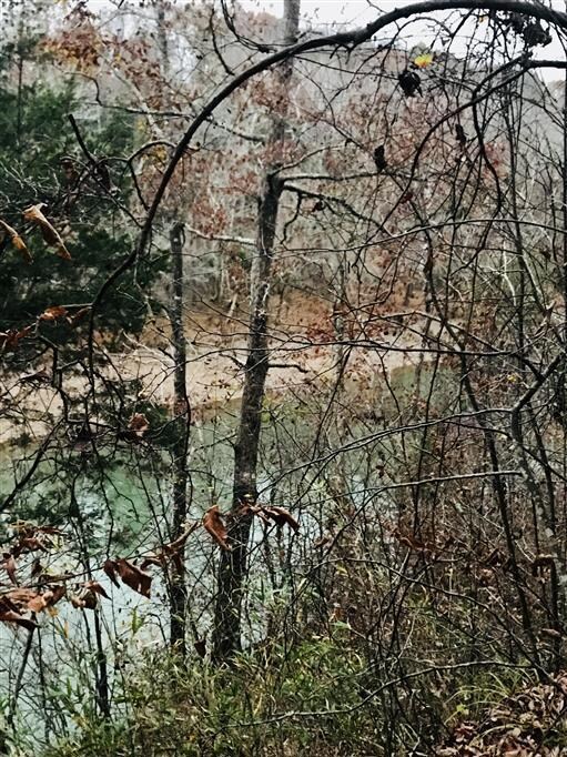 0 Long Point Dr unit 2058812, Rock Island, TN 38581 - photo 2