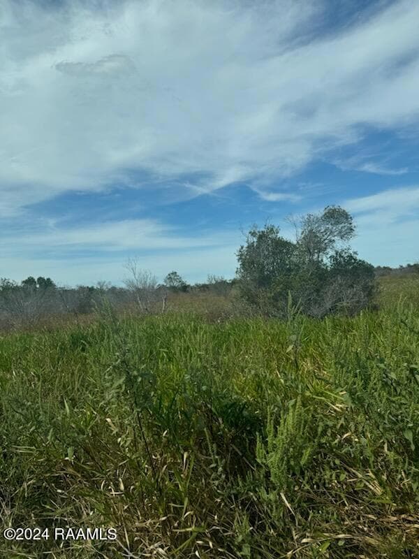 0 S Talens Landing Rd unit 2500005685, Gueydan, LA 70542 - photo 3