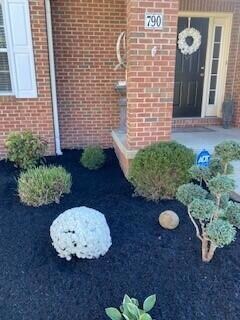 front landscaping 3