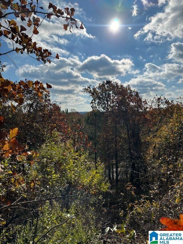 121 Crest Dr, Chelsea, AL 35043 - photo 5