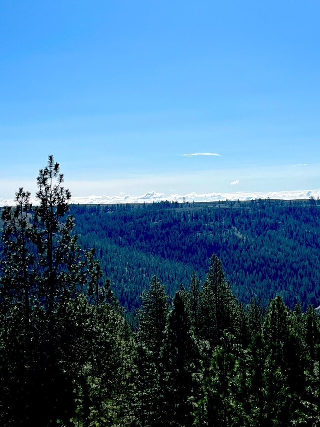 34430 N Partridge Ln N, Davenport, WA 99122 - photo 7