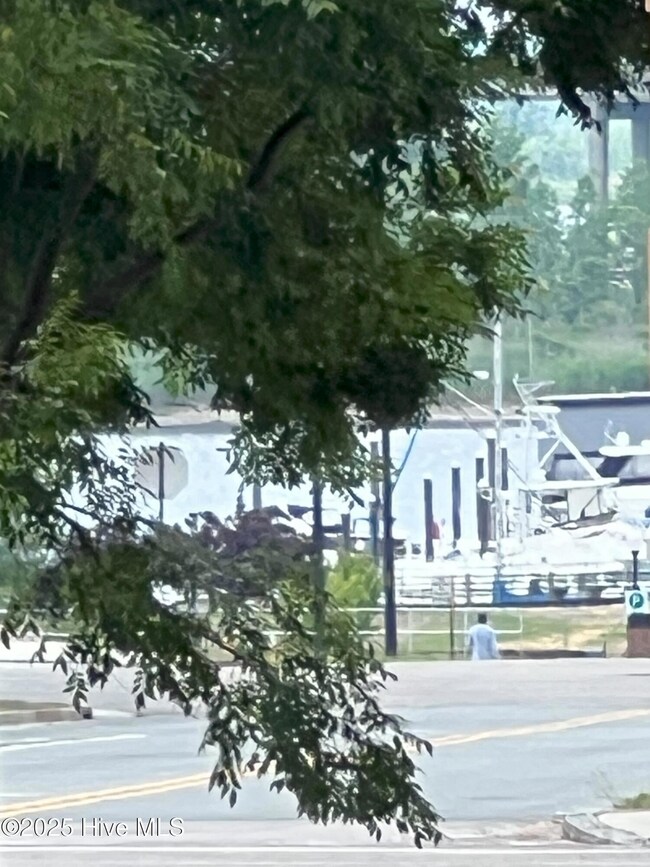 801 N 4th St unit 206, Wilmington, NC 28401 - photo 4