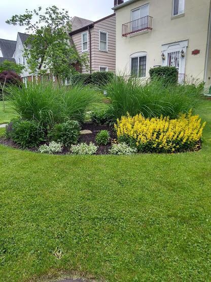 Front Garden