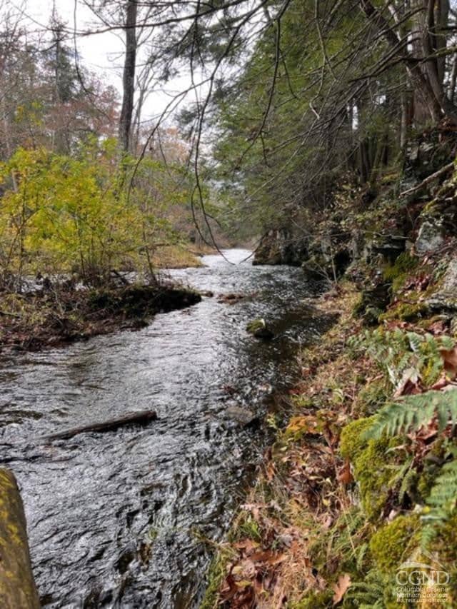 91 Laurie Ln, Cairo, NY 12058 - photo 3