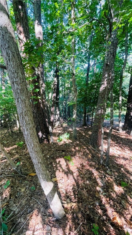 6 Beaconsfield Ln, Bella Vista, AR 72714 - photo 2