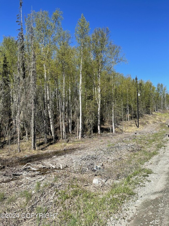 Road view