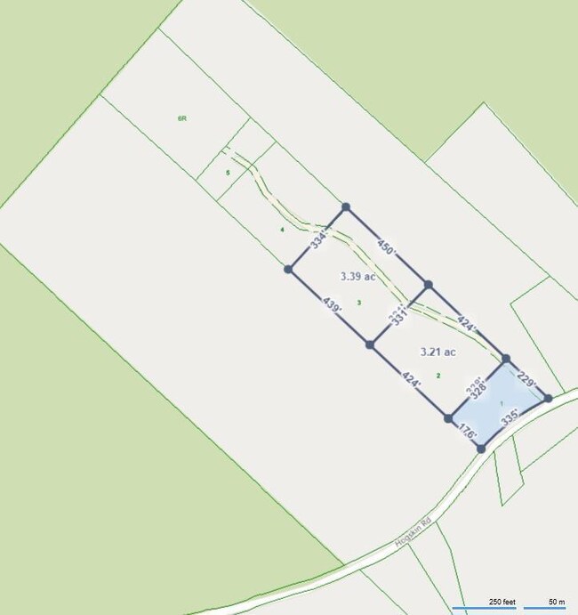 Parcel Map