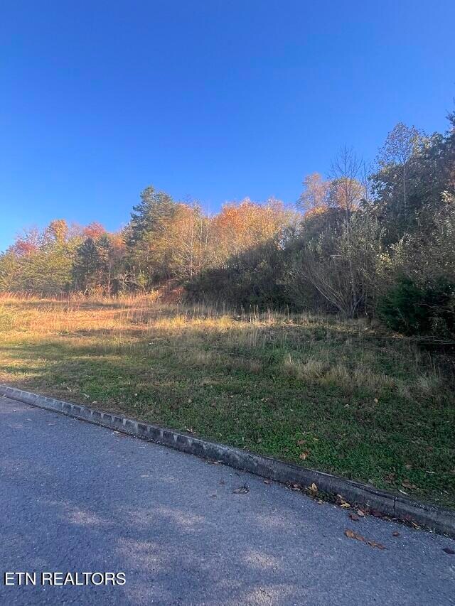 0 Anchor Ln unit 1322373, Andersonville, TN 37705 - photo 5