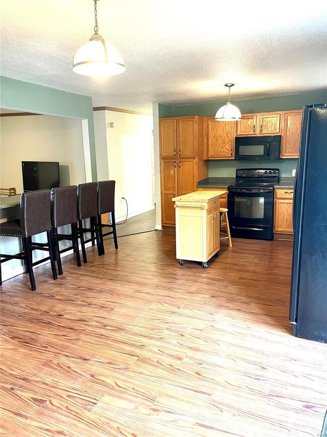 196 Mimosa Rd, Poplar Bluff, MO 63901 - photo 2