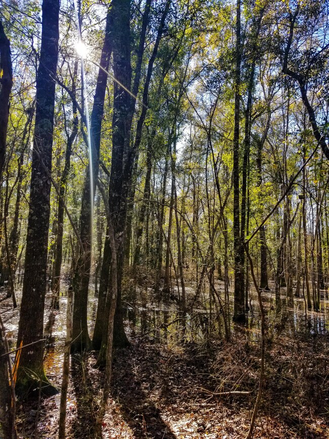 Cannon Road Tract (4)-2