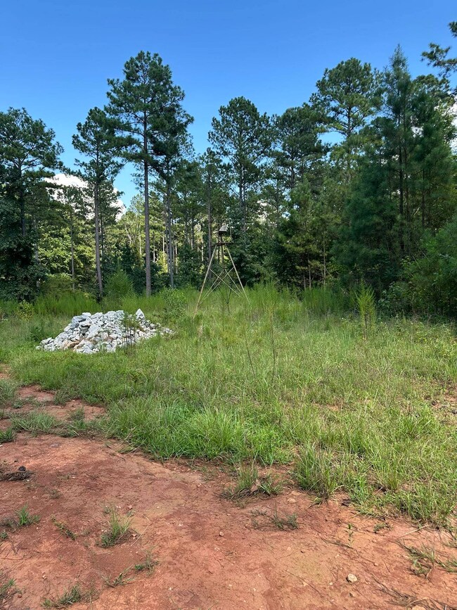 2470 Fears Rd, Madison, GA 30650 - photo 5