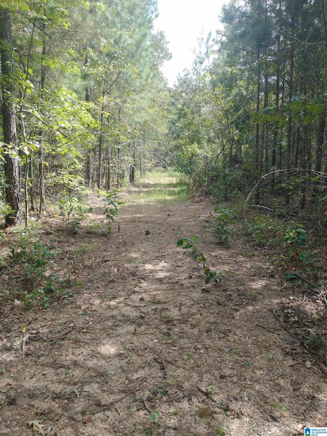 334 Serenity Ln, Alpine, AL 35160 - photo 3