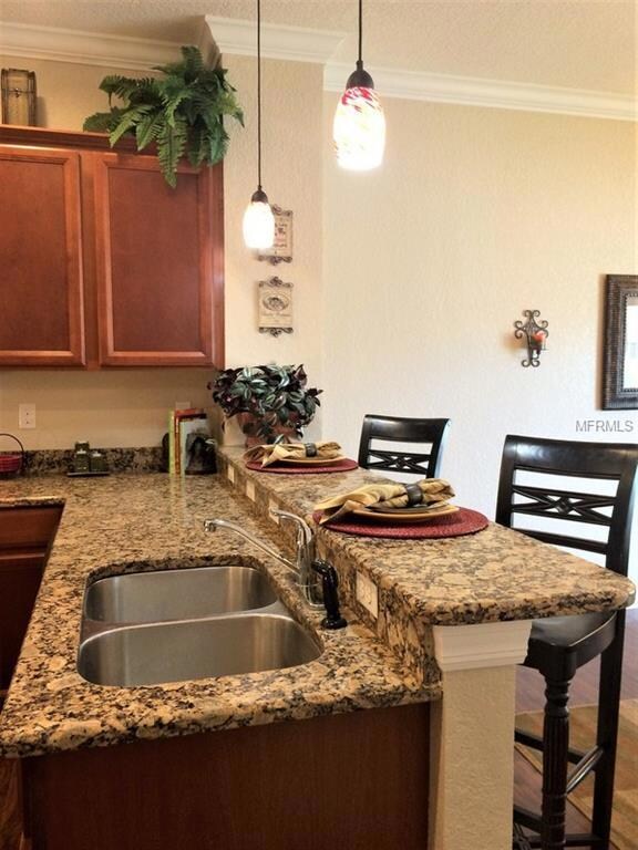 12309 NE 48th Loop, Oxford, FL 34484 - photo 6