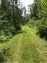 IMG_1524 (1)