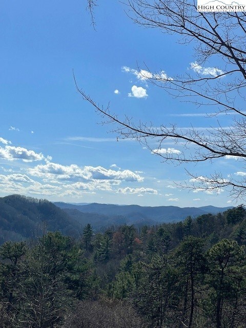 0 Big Sky Rd unit 248484, Ferguson, NC 28624 - photo 4