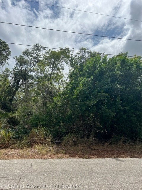 255 S Huntley Dr, Lake Placid, FL 33852 - photo 4