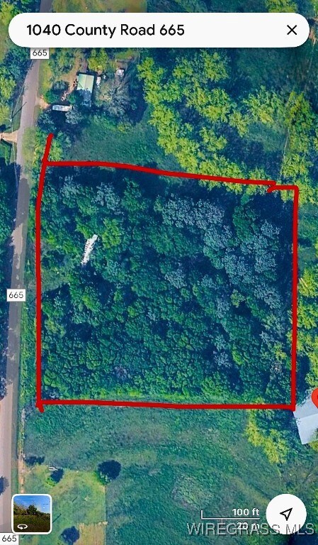 1040 County Road 665, Chancellor, AL 36316 - photo 7