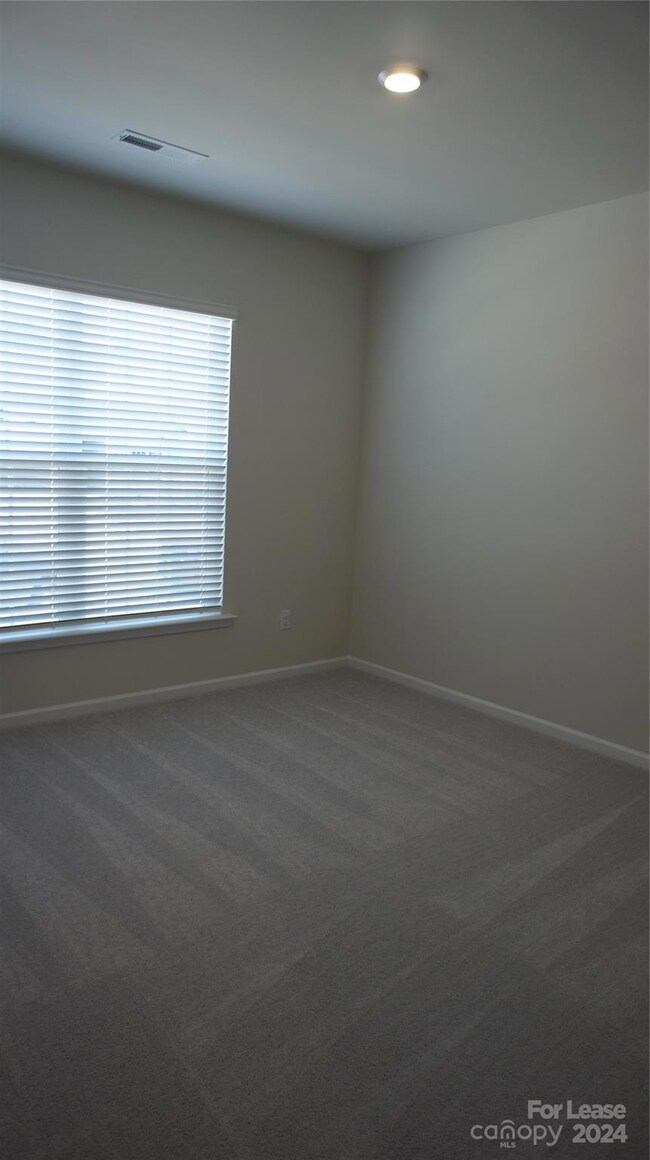 158 Pampas Place, Statesville, NC 28625 - photo 5