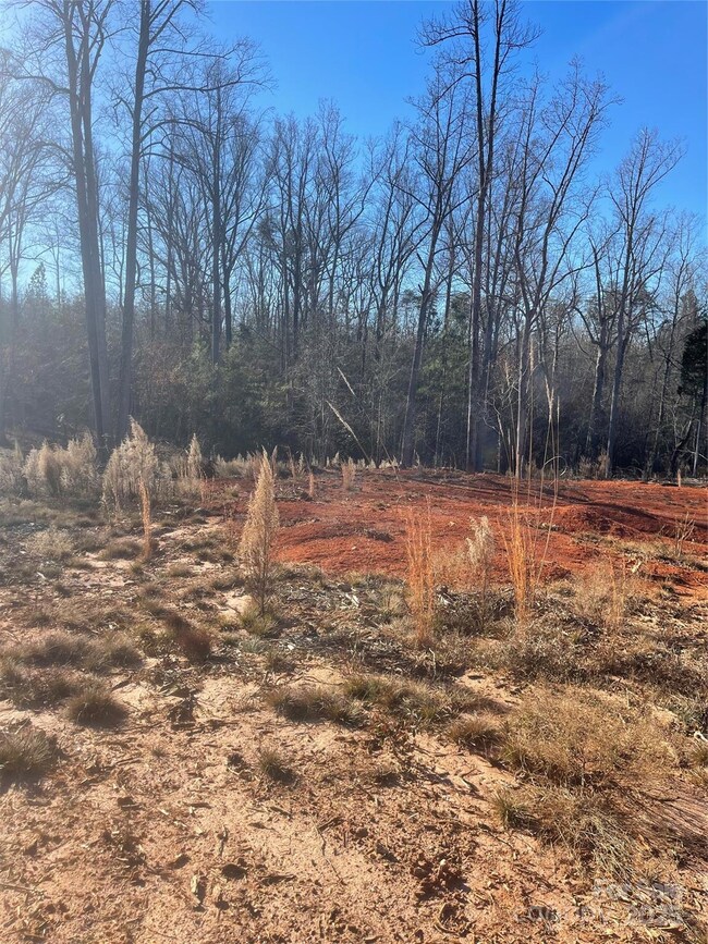 0 Springbrook Ln unit CAR4330953, Rutherfordton, NC 28117 - photo 6