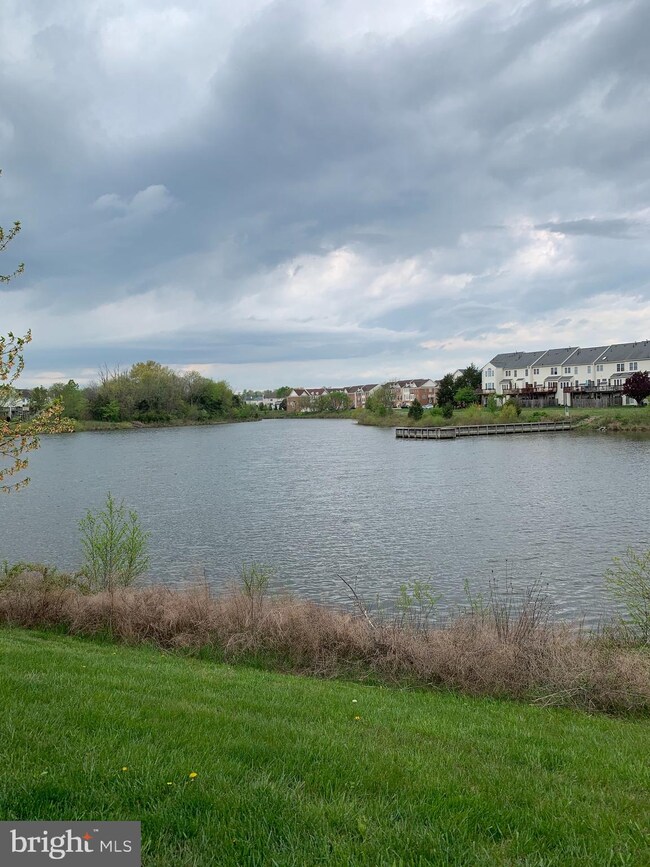 25323 Eldridge Terrace, Chantilly, VA 20152 - photo 3