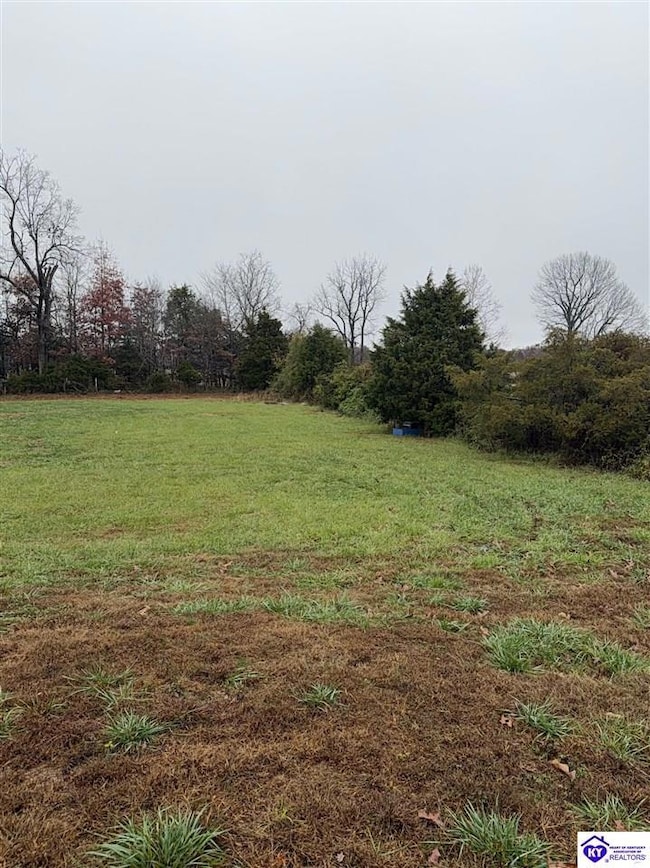 1820 Wax Rd, Clarkson, KY 42726 - photo 4