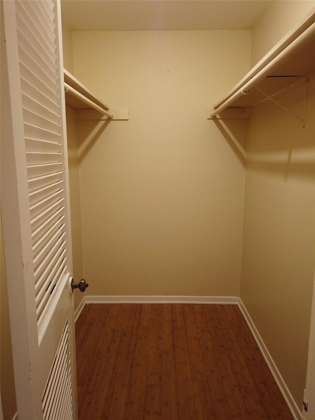 Spacious closet featuring dark wood-style flooring