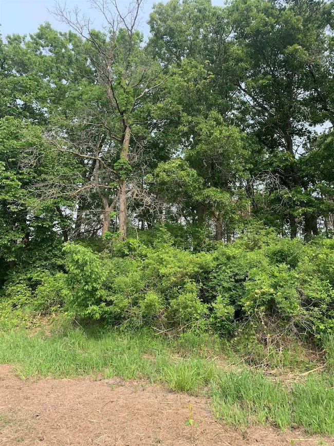 1.22 AC Flowage Rd, Spring Green, WI 53588 - photo 5