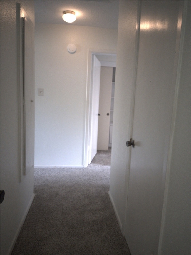 3810 Townes Forest Rd, Friendswood, TX 77546 - photo 6