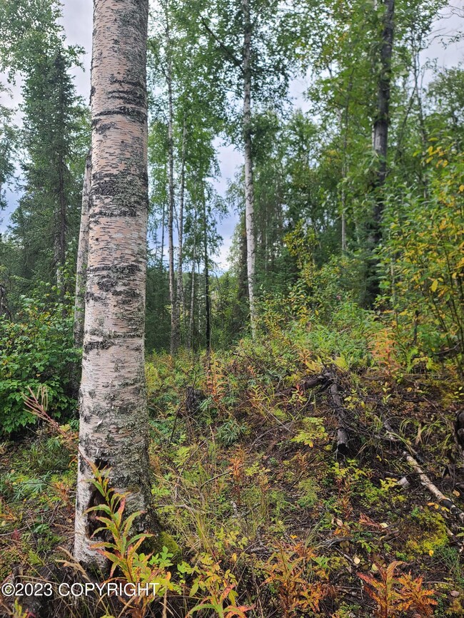 11396 Cat Tail Cir, Houston, AK 99694 - photo 5