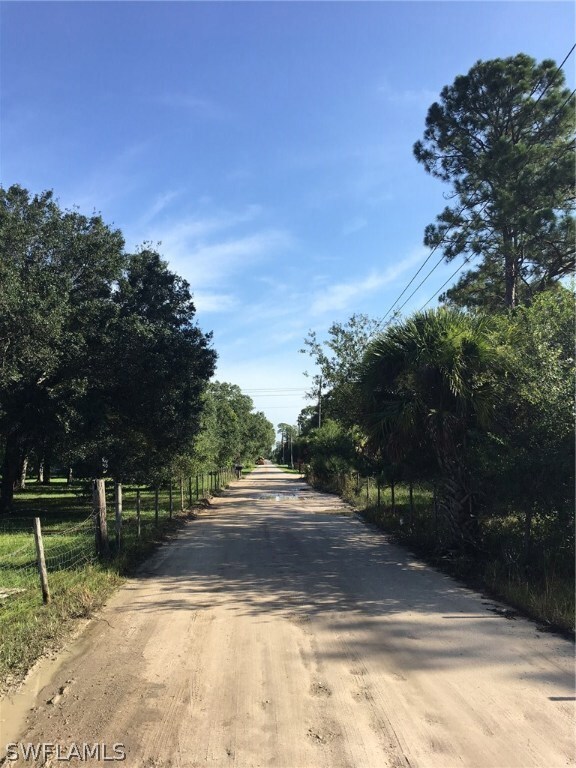 3320 Packinghouse Rd, Alva, FL 33920 - photo 7