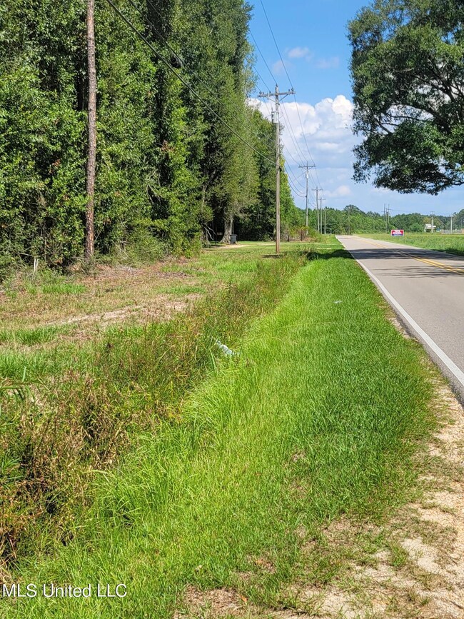 00 Walkiah Bluff Rd, Picayune, MS 39466 - photo 7
