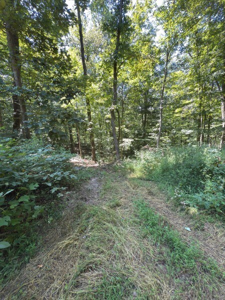 Property drops off near the back so no one will build behind you.