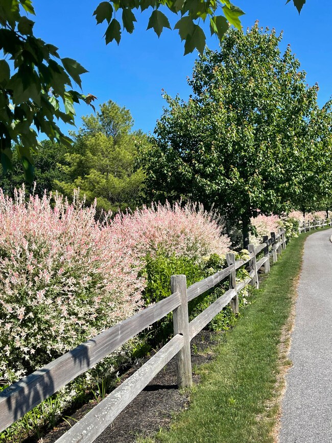 Spring Photo