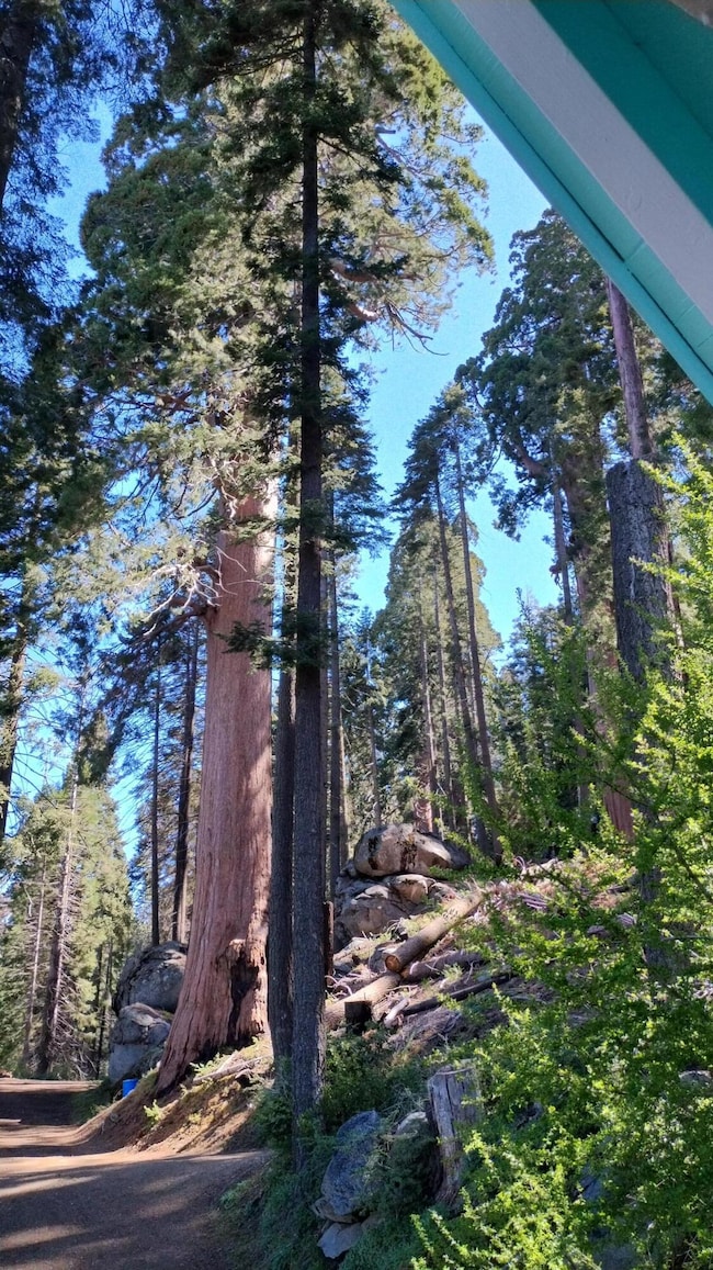 3-Looking at giants from front entry