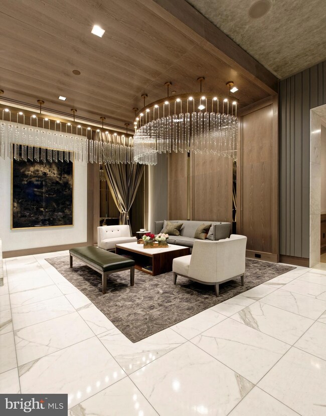 Ritz-Carlton Residences unit 207, Chevy Chase, MD 20815 - photo 3