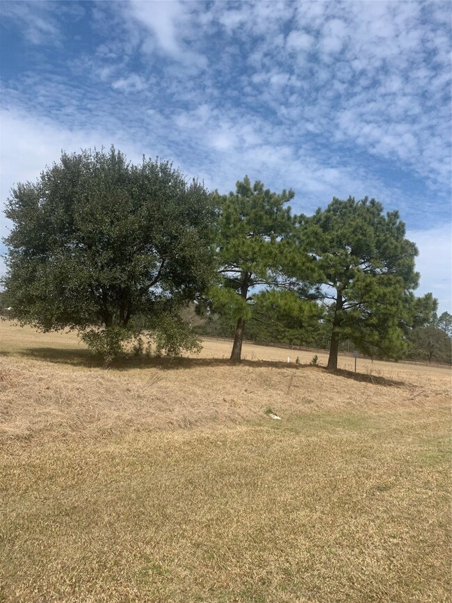 330 Meadow Lake, Magnolia, TX 77355 - photo 5