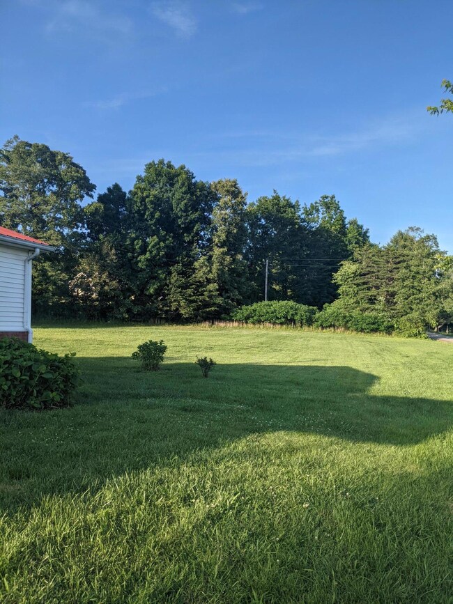 PXL_20210610_233203943