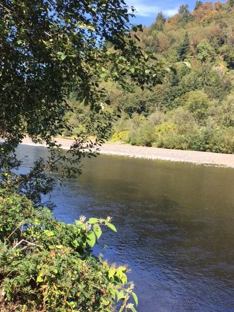 Nehalem River