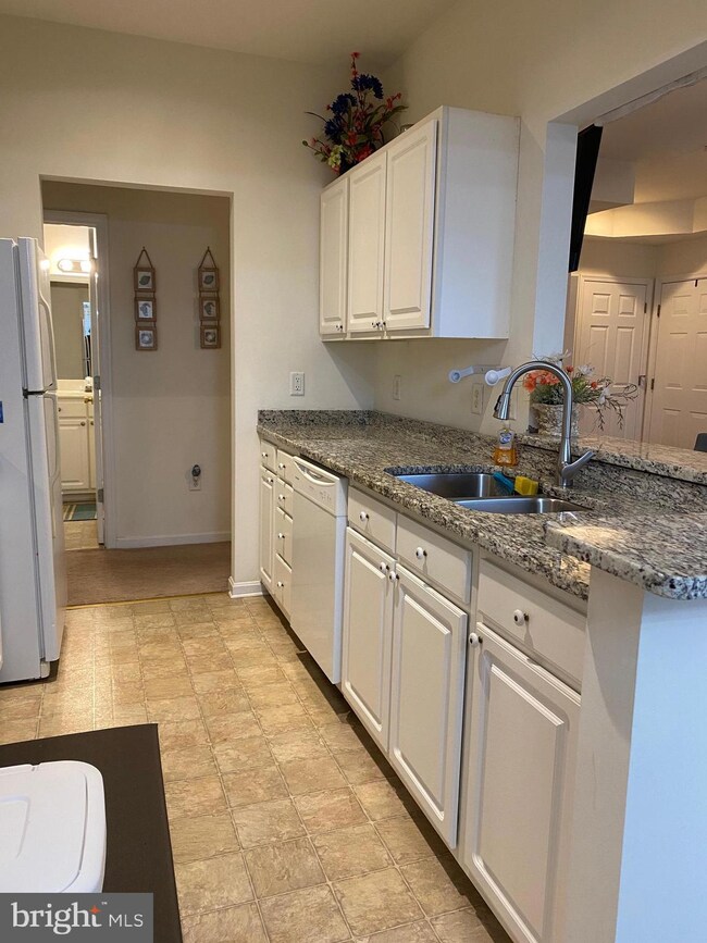 100 Cascade Ln unit 110, Rehoboth Beach, DE 19971 - photo 4