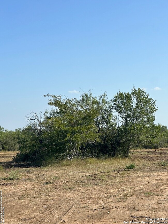 5894 Fm 1107 Unit B-Tract 1, Stockdale, TX 78160 - photo 6