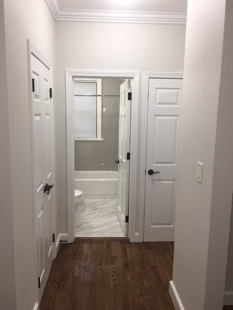 435 Walnut Ave unit 4, Roxbury, MA 02119 - photo 4