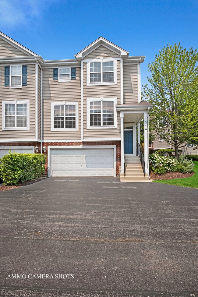 546 Declaration Ln unit 1006, Aurora, IL 60502 - photo 2