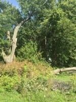 103 S Old Us Highway 41, Boswell, IN 47921 - photo 6