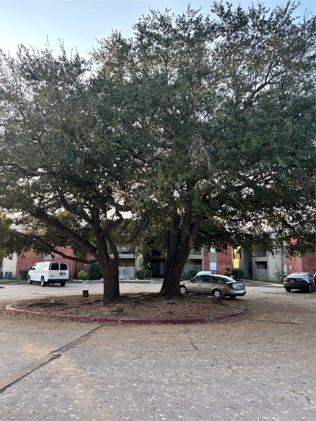 8918 Bissonnet St unit 207, Houston, TX 77074 - photo 7