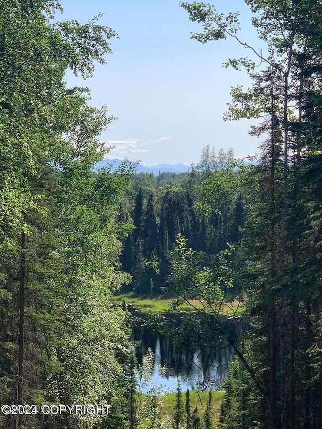 36570 Edgington Rd, Sterling, AK 99672 - photo 2