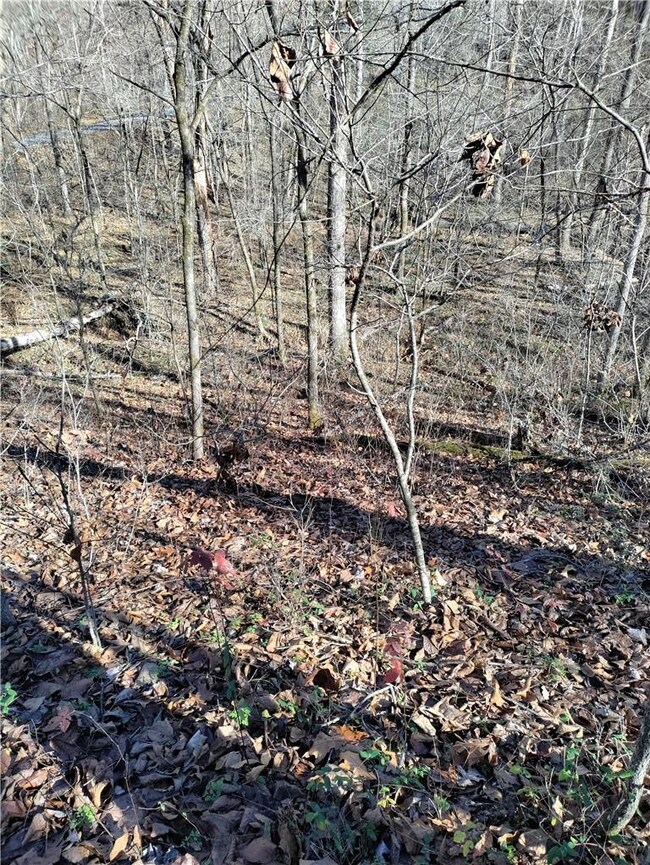 1 Munster Dr, Bella Vista, AR 72715 - photo 6