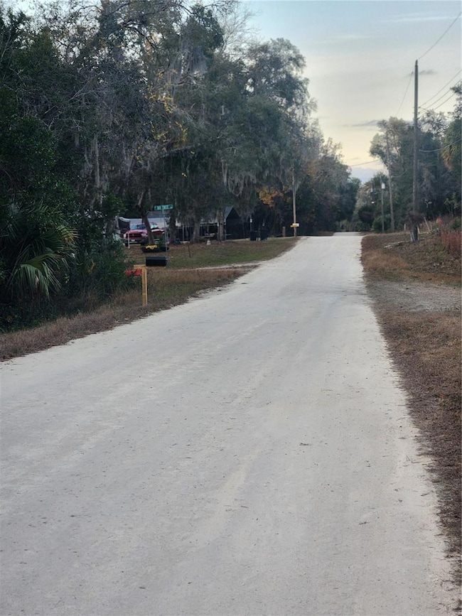 6363 N Sourgum Terrace, Hernando, FL 34442 - photo 6